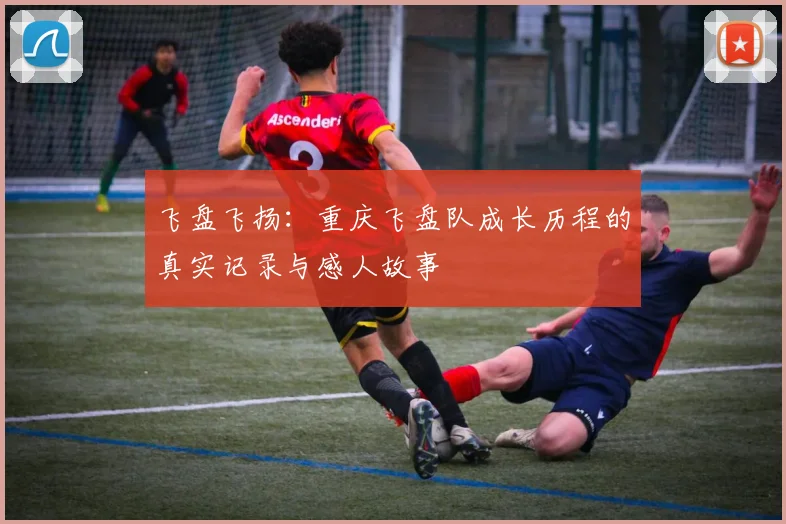 飞盘飞扬：重庆飞盘队成长历程的真实记录与感人故事